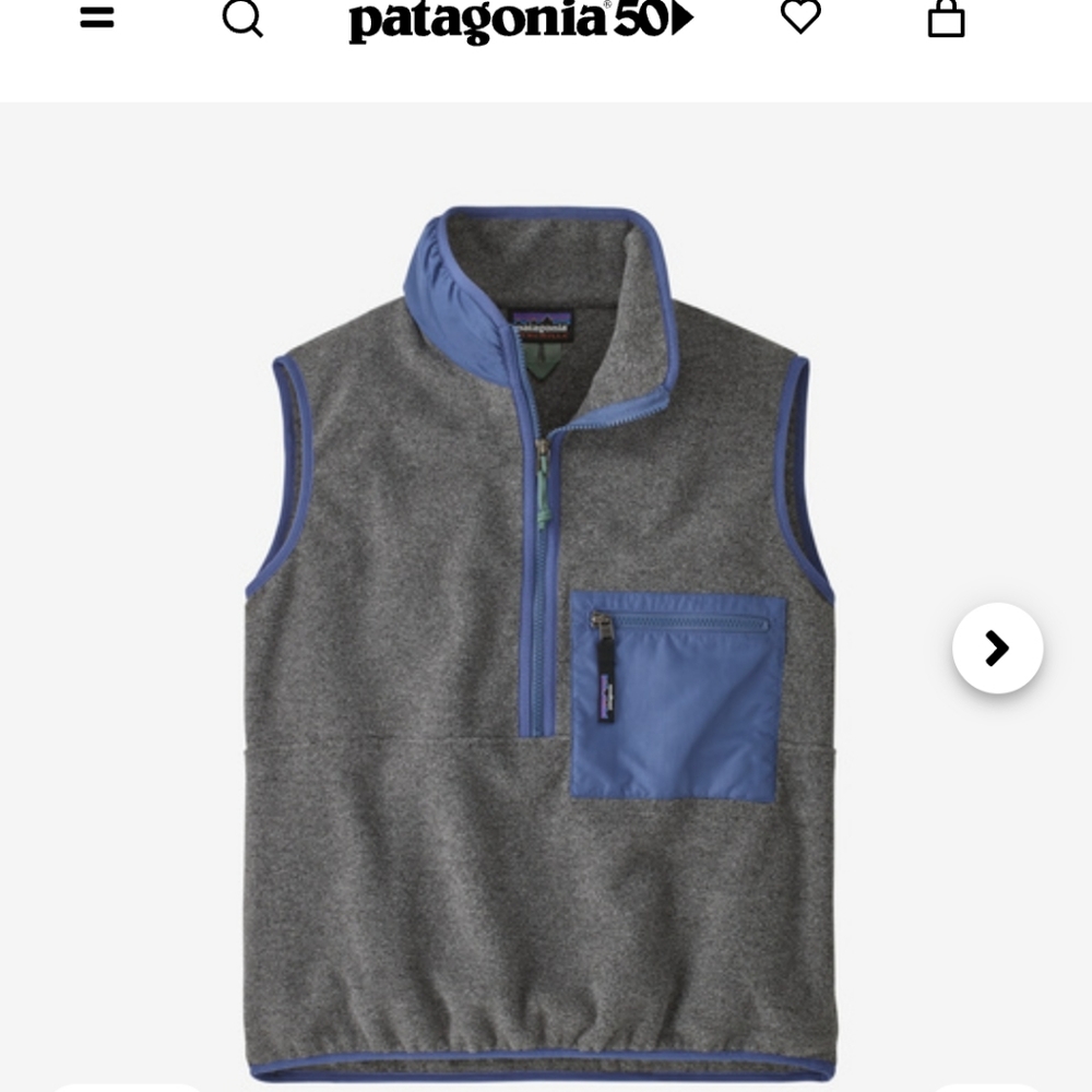 Patagonia Synchilla Vest